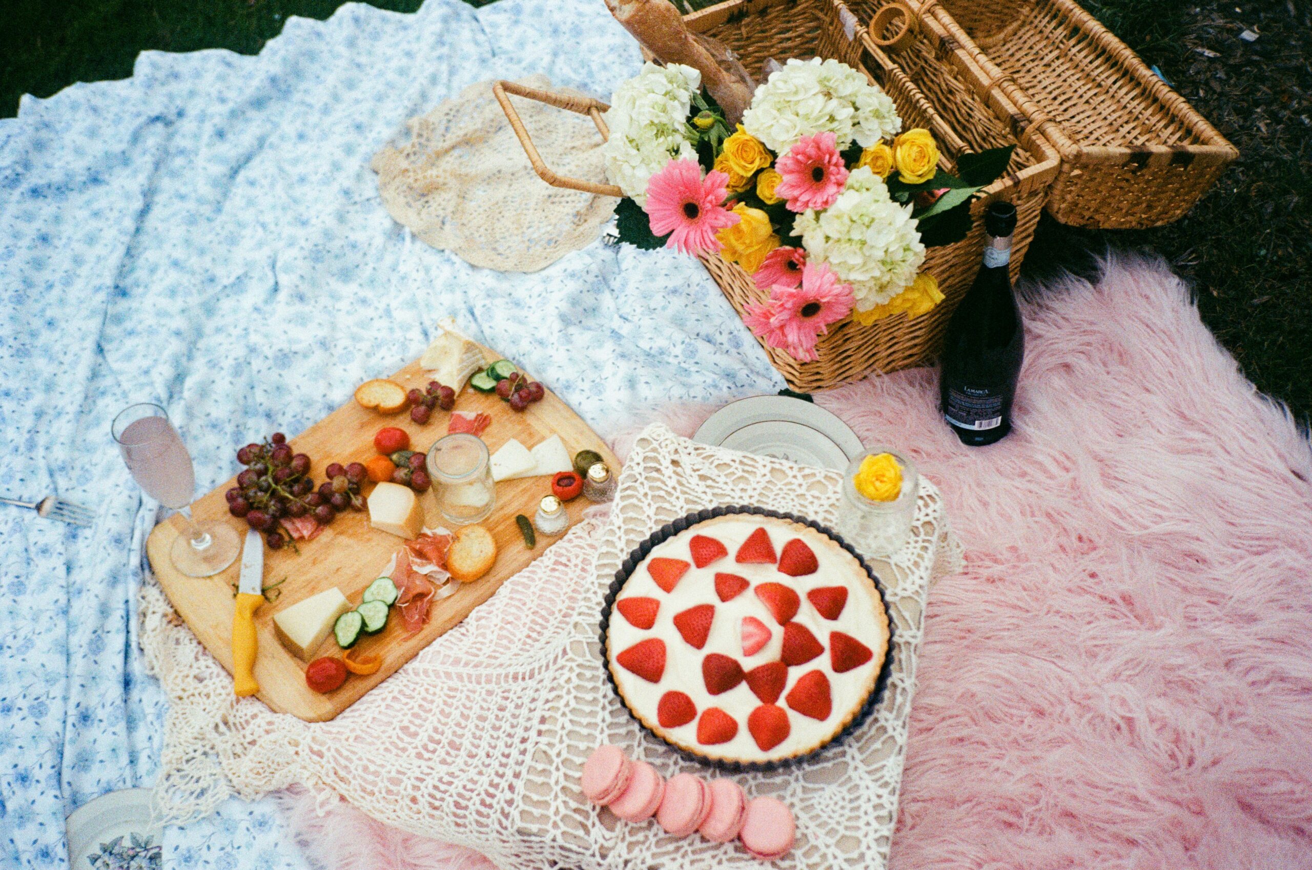 How to Plan the Perfect Picnic
